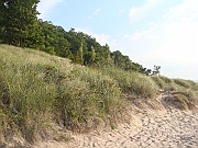 Western Michigan [2009] 572